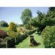 Kit de perros 200 m 230 v