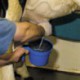 Jarra para el control de mamitis