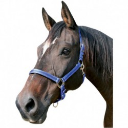 Cabezada nailon bicolor con mosquetón