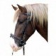 Cabezada de cuero caballo trabajo