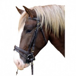 Cabezada de cuero caballo trabajo