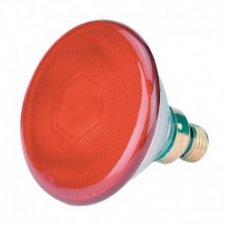 Lámpara infrarrojos 175 W
