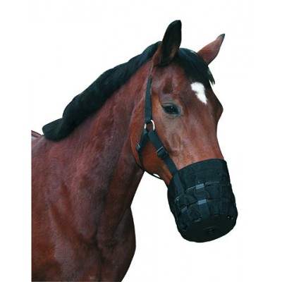 Bozal para caballos