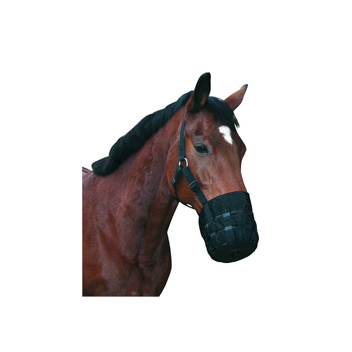 Bozal para caballos