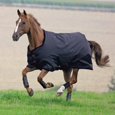 Manta protectora para invierno