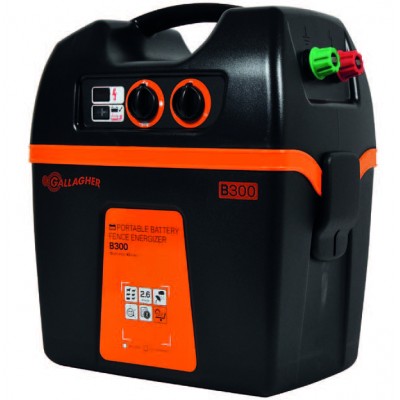 Pastor B300