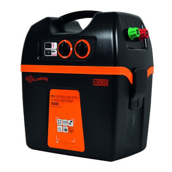 Pastor B300
