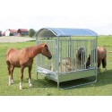 Comedero para caballos con barrera de seguridad