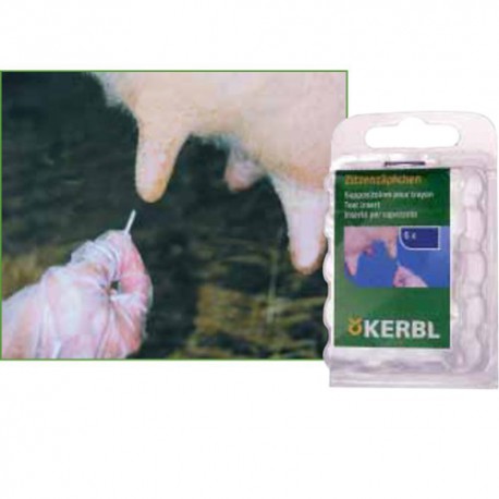 Teat insert (pack 6 ud)