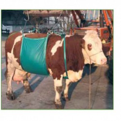 Arnés elevador vacas 1000 kg