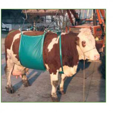 Arnés elevador vacas 1000 kg