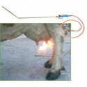 Lanza quema pelos llama fría