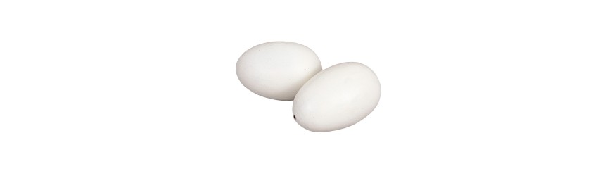 Huevos ponedoras
