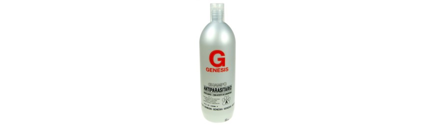 Champú insecticida