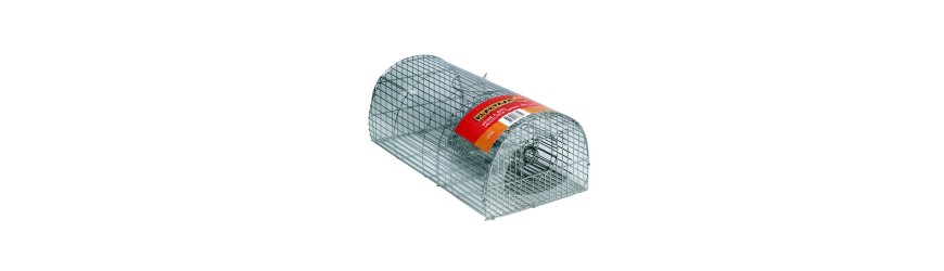 Rata/ratón