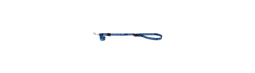Correas de fijación