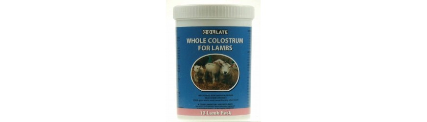 Calostros