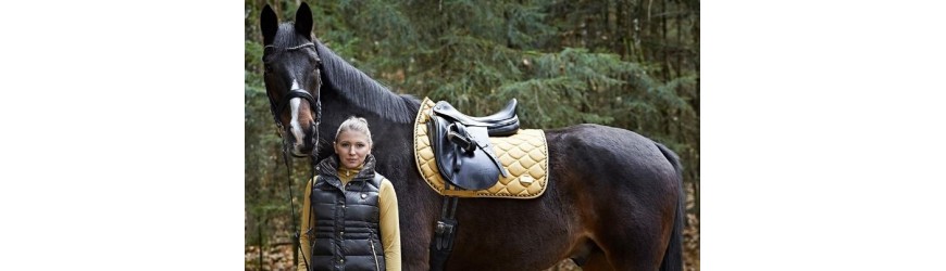 * Mantenimiento y estancias del caballo