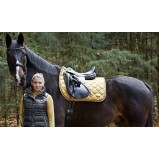 * Mantenimiento y estancias del caballo