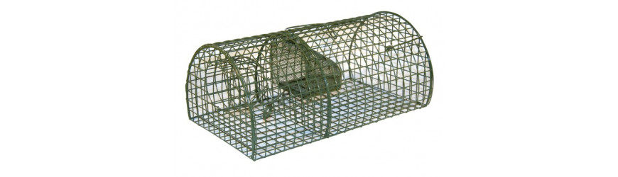 - Trampas ratas / ratones