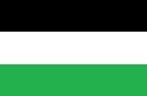 Verde/Blanco/Negro