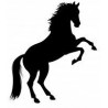 SILUETA CABALLO
