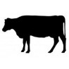 SILUETA VACA